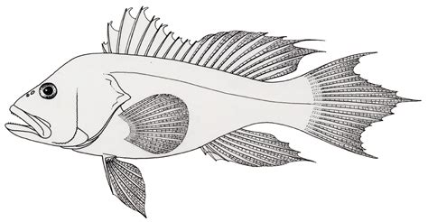 A little fish at the sea bottom. Fish Coloring Pages (6) Coloring Kids - Coloring Kids