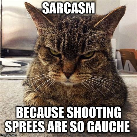 Sarcasm Cat Imgflip
