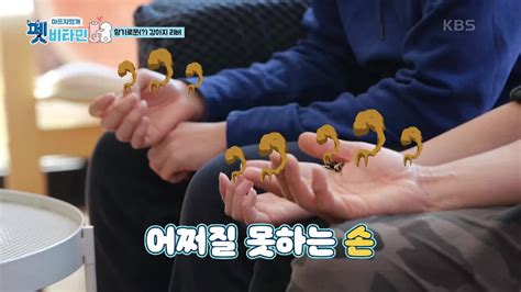 펫비타민 8회 재방송 다시보기 공식영상 보러가기