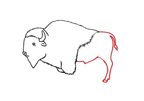 How To Draw A Buffalo Step By Step Part 2 Easy Animals 2 Draw