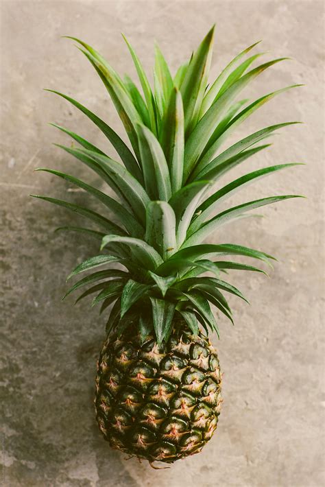 Ripe Pineapple By Stocksy Contributor Goldmund Lukic Stocksy