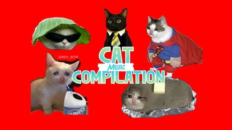 Funny Cats Music Videos Compilation Red Boi Memes Cat Youtube