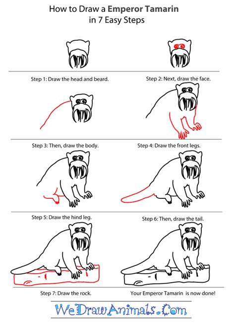How To Draw Easy Animals Photofun 4 U Com