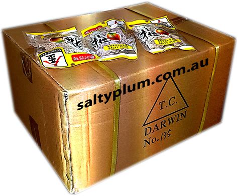 Salty Plum Wholesale Salty Plum Wholesale Wholesale And Trade Only