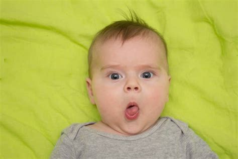 Funniest Facial Expressions Pic Stock Photos Pictures And Royalty Free