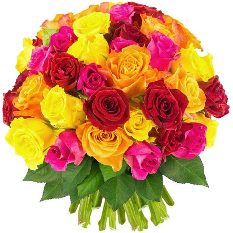 Faire livrer votre bouquet de roses rose. Bouquet 60 Roses Multicolores - Livraison Express | Florajet