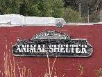 Come meet orange county animal shelter's pets. Orange County Animal Shelters