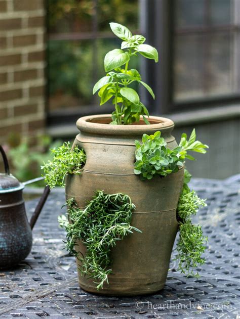 Terracotta Strawberry Pot Herb Garden Hearth And Vine
