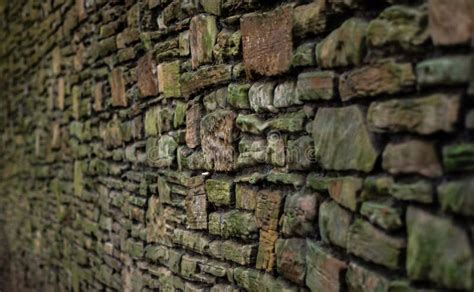Ancient Stone Brick Wall With Moss Stock Photo Image Of Building