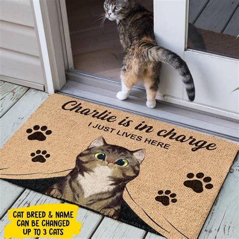 Cat Doormat Custom Cat Doormat Outdoor Rug Cute Door Mat Etsy