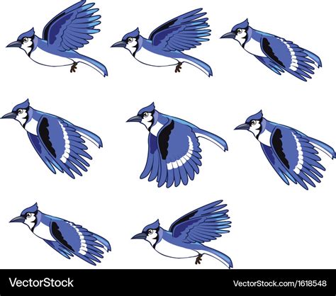 Cartoon Blue Jay Various Formats From 240p To 720p Hd Or Even 1080p Redeye Wallpaper