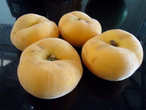 Top 10 Strange Rare And Unusual Peaches
