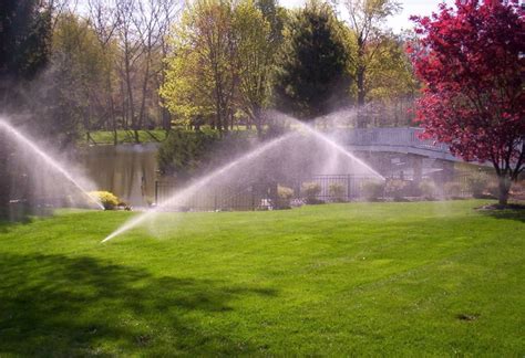 Maybe you would like to learn more about one of these? Hire a Professional to Install an Irrigation System | Keane Landscaping