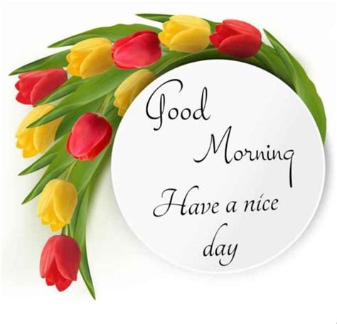 Good morning Images in marathi language | Good morning images, Morning images, Beautiful morning ...