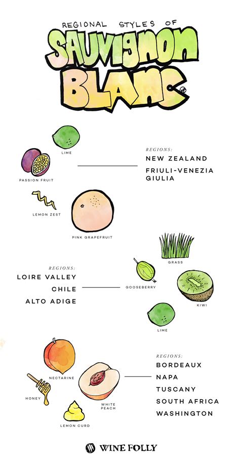 Where To Find The Best Sauvignon Blanc Wine Folly