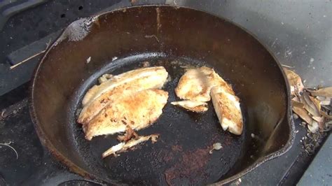 Sear until nicely browned on each side, about 2 minutes per side. COOKING TILAPIA FISH IN A CAST IRON GRISWOLD SKILLET IT ...