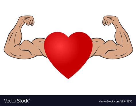 Heart With Muscular Arms Royalty Free Vector Image