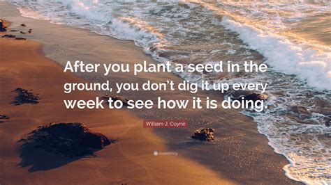 William J Coyne Quote “after You Plant A Seed In The Ground You Don