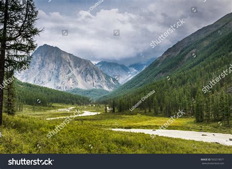 Panoramic Scenery Siberian Wilderness During Summer Stock Photo