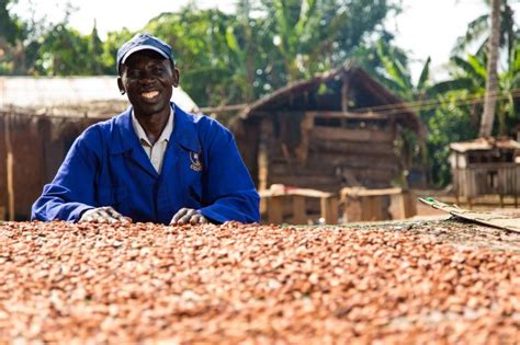 New Cocoa Floor Price A Step Towards More Equal Trade Cocoa Post