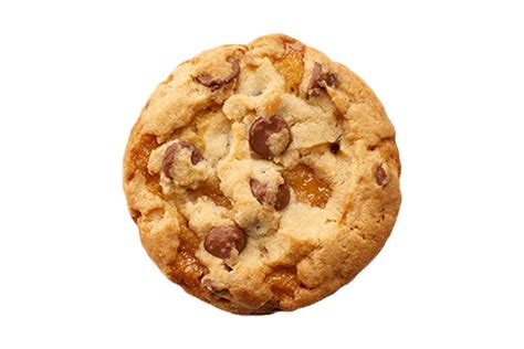 Cookie Png Transparent Images Pictures Photos Png Arts