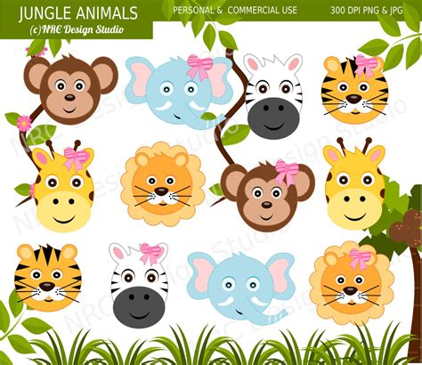 Safari Animals Clip Art Cute Jungle Animal Clip Art