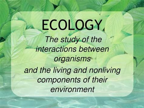 Ppt Ecology Powerpoint Presentation Free Download Id5053262