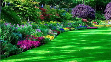 Garden Park With Green Grass And Colorful Flowers Hd Garden Wallpapers