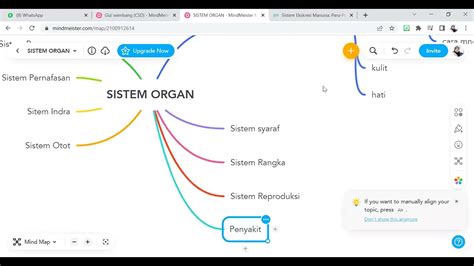 How To Make Mindmap Sistem Organ Youtube