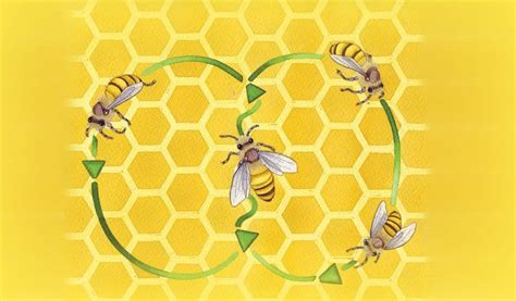 20 Amazing Things You Didnt Know About Bees