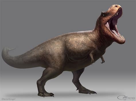 Tyrannosaurus Rex Dinopedia Fandom Powered By Wikia