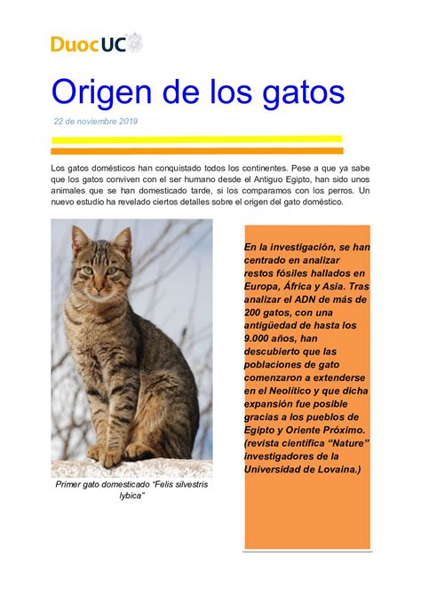 Calaméo Origen De Los Gatos
