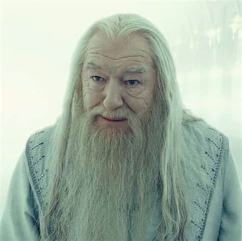 Dumbledore Icon