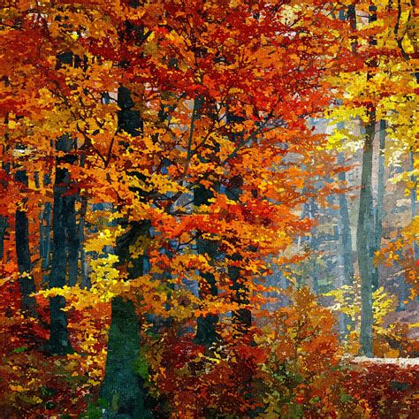 Forest Painting Autumn Trees Free Stock Photo Public
