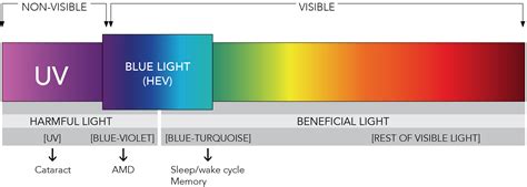 Blue Light Heres The Facts Eye Q Optical