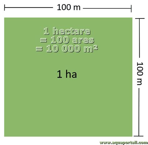 Quanto Mede 1 Hectare
