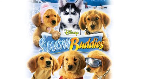 Snow Buddies Cachorros En La Nieve Apple Tv
