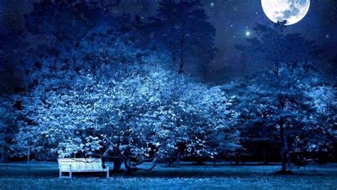 Beautiful Night Scenery Stock Photo Free Download