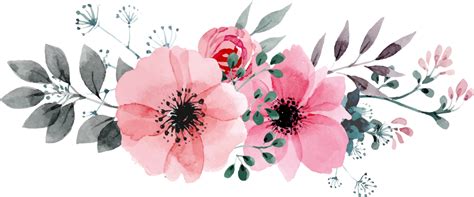 Download free watercolor flowers png images. png flowers - Flowers Vectors Clipart Png Image 05 ...
