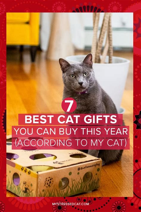 7 Best Cat Ts You Can Buy This Year According To My Cat Cat