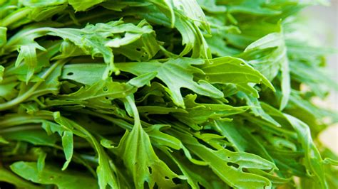 5 Exotic Asian Greens To Grow In Your Fall Garden Sheknows