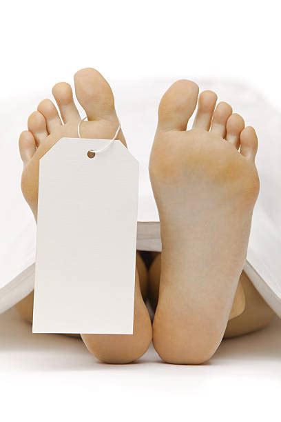 Best Morgue Feet Stock Photos Pictures And Royalty Free Images Istock