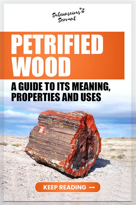 Petrified Wood A Guide To Its Meaning Properties And Uses