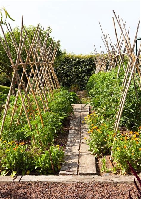 24 Easy Diy Garden Trellis Ideas And Plant Structures A Piece Of