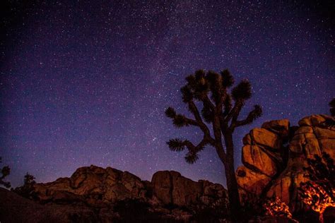 Us Department Of The Interior On With Images Joshua Tree National