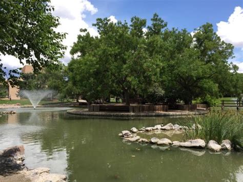 Free stuff albuquerque nuevo mexico. Duck Pond at UNM (Albuquerque) - 2021 All You Need to Know ...