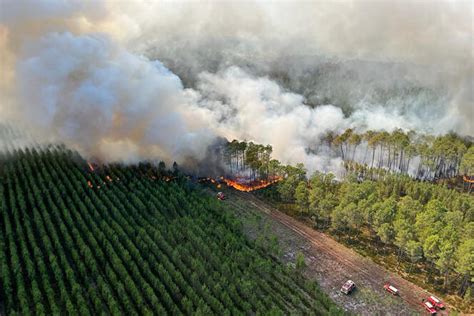 Southwest Of France Fires Ravage Over 6600 Acres Blaze Still Not