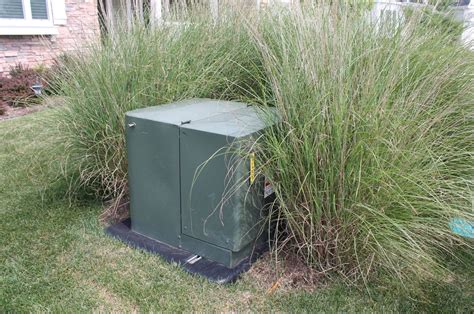 Green power box in yard. Why Planting Near Transformers is Bad for the Co-op ...