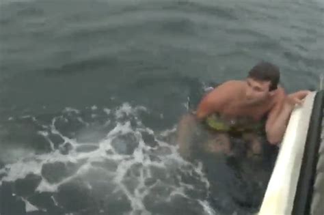 Monster Shark Attacks Swimmer Dangling Off Boat In Terrifying Video