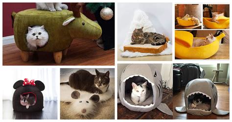 The Most Hilarious Novelty Cat Beds